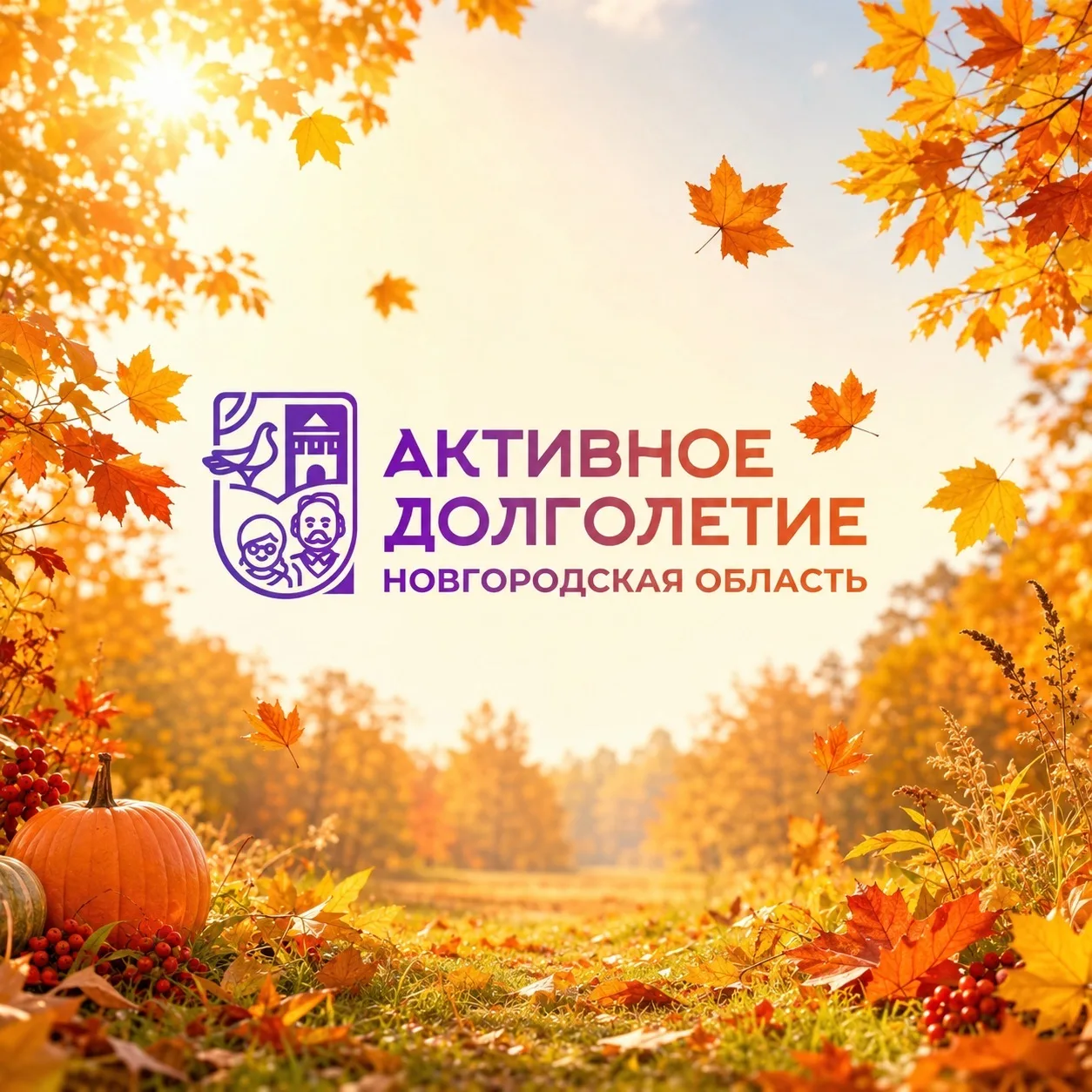Новгородское долголетие — канал в мессенджере MAX