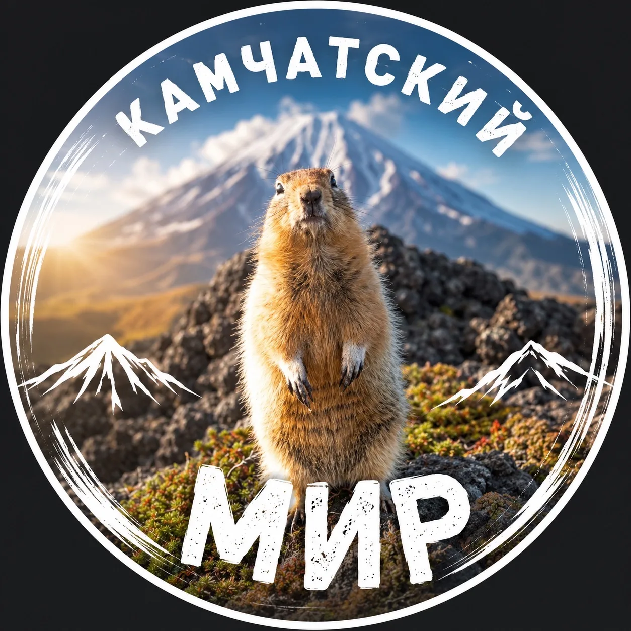 Камчатский Мир — канал в мессенджере MAX