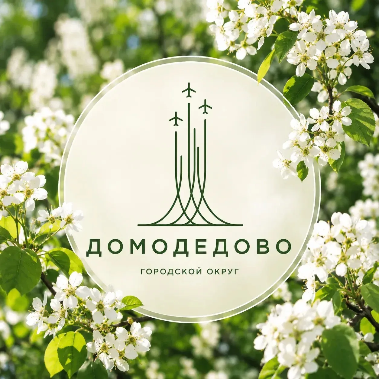 Администрация городского округа Домодедово