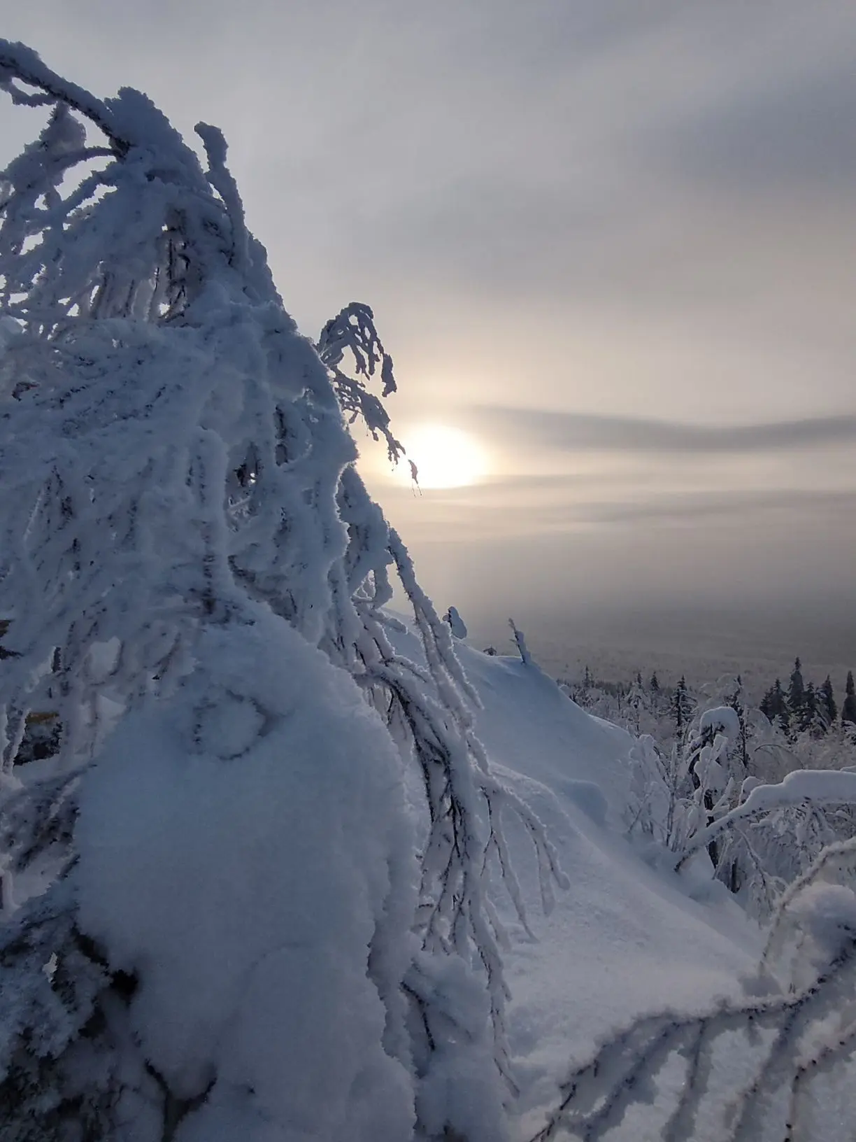 За пятьдесят горизонтов.