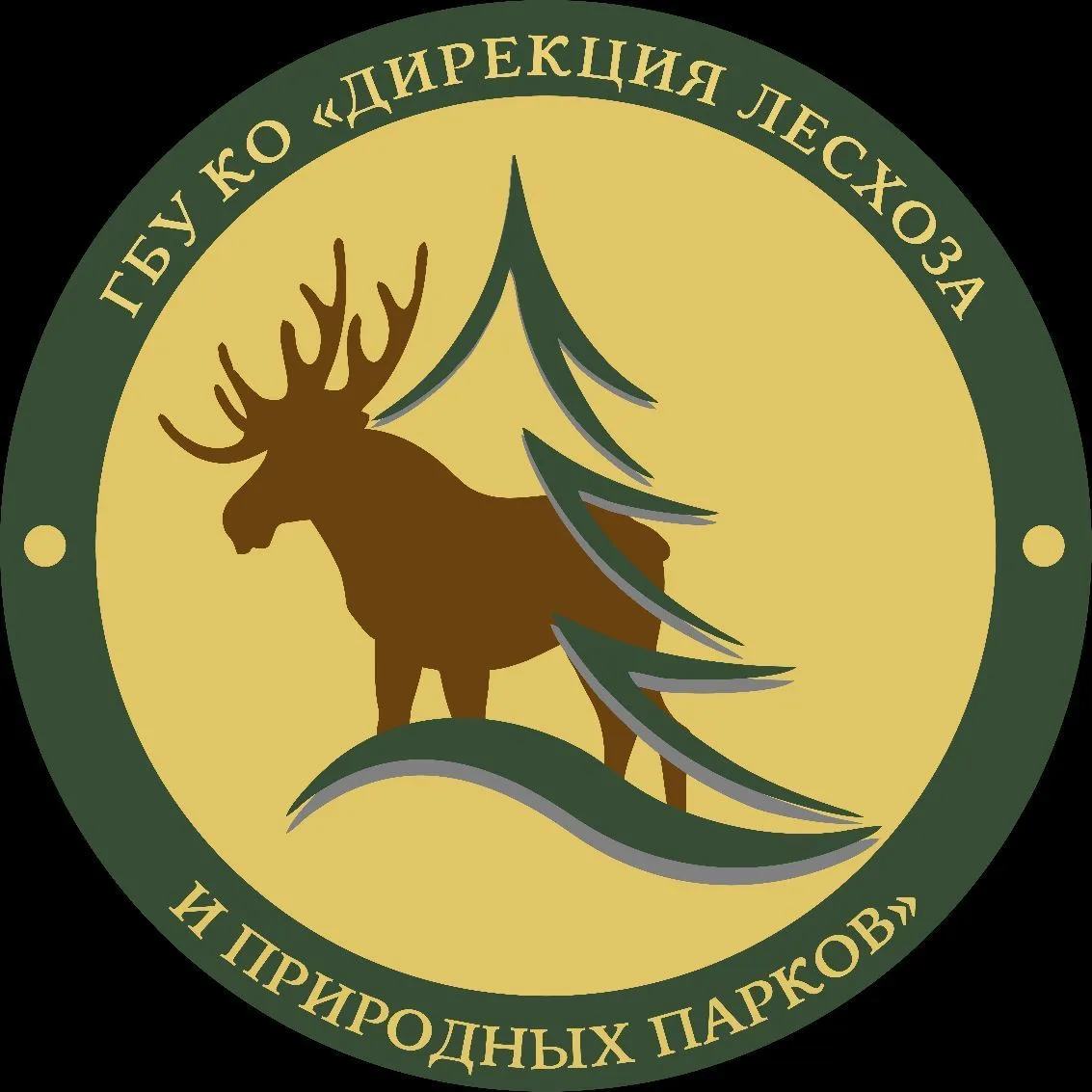 ГБУ КО "ДИРЕКЦИЯ ЛЕСХОЗА И ПРИРОДНЫХ ПАРКОВ"