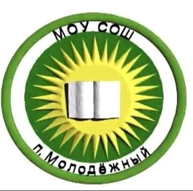 Канал МОУ сош го Молодёжный