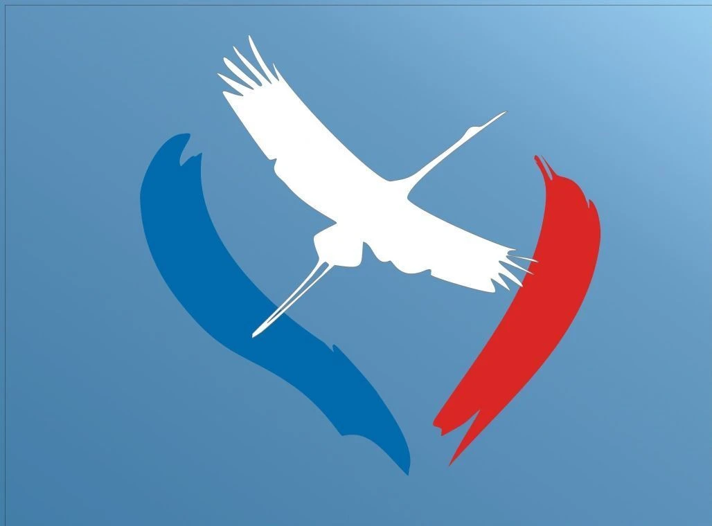 Канал МАОУ СОШ № 85 "Журавушка"