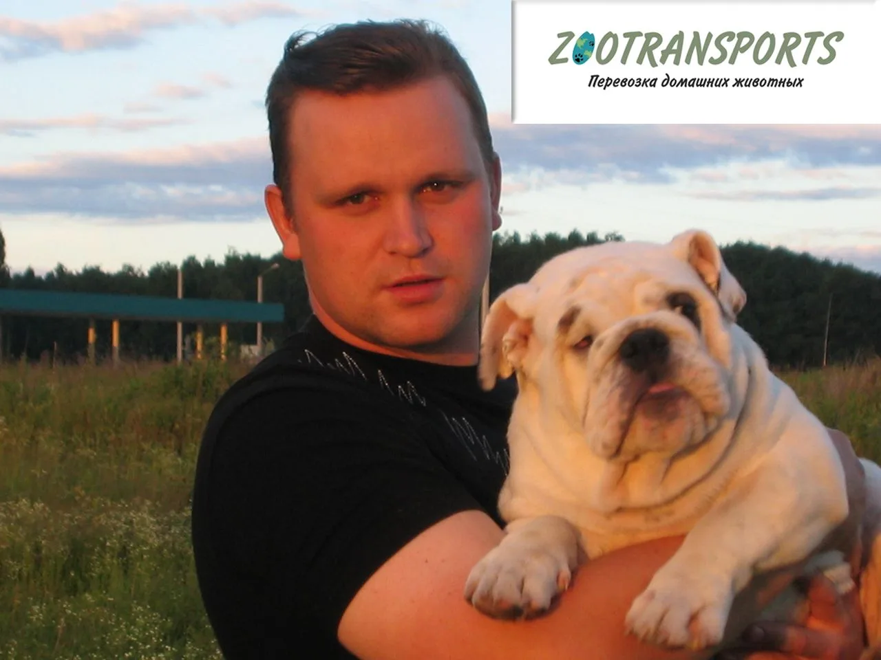 Перевозка, доставка животных | ZOOTRANSPORTS