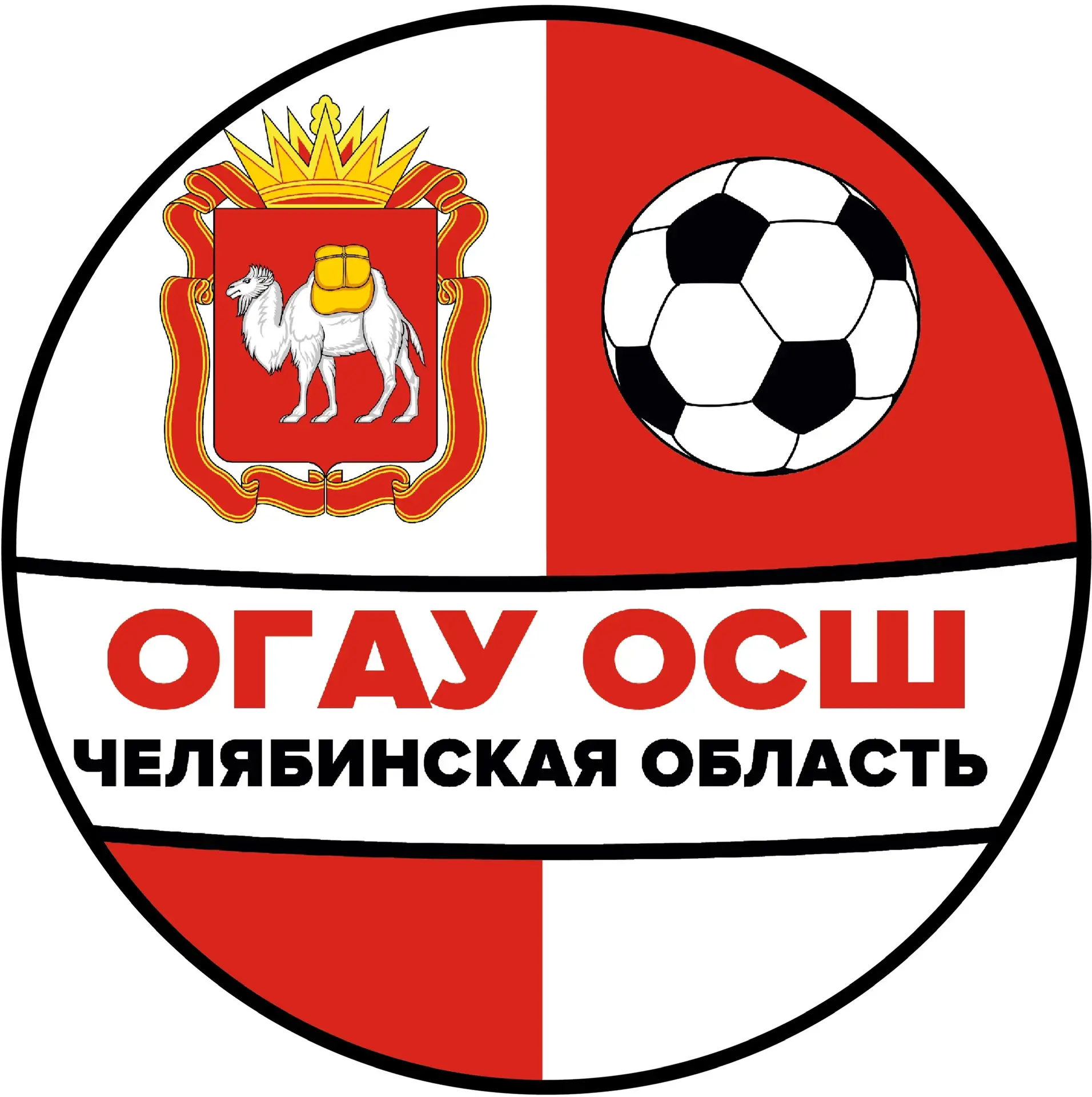 ОГАУ ДО ОСШ по футболу