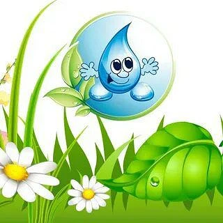 МБДОУ детский сад №24 "Росинка" комбинированного вида ЕМР