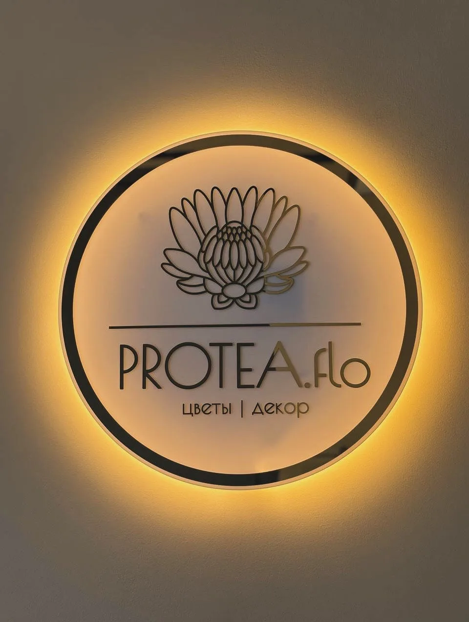 PROTEA.flo