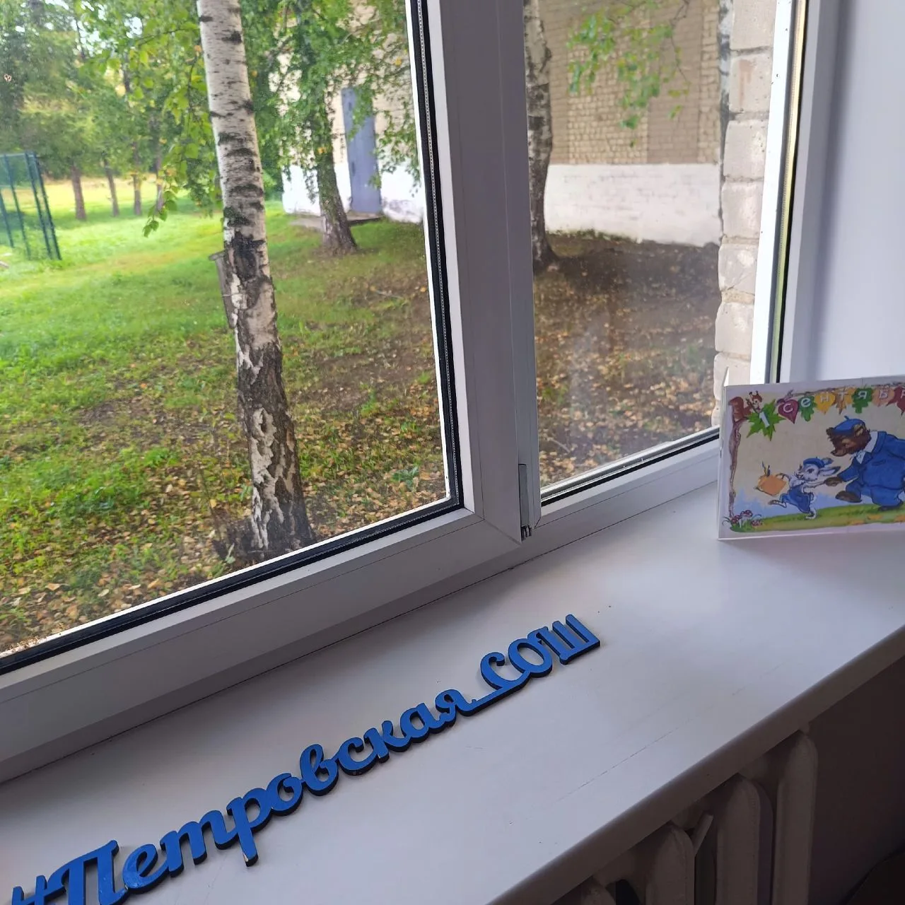 МОУ Петровская СОШ Красноармейского округа