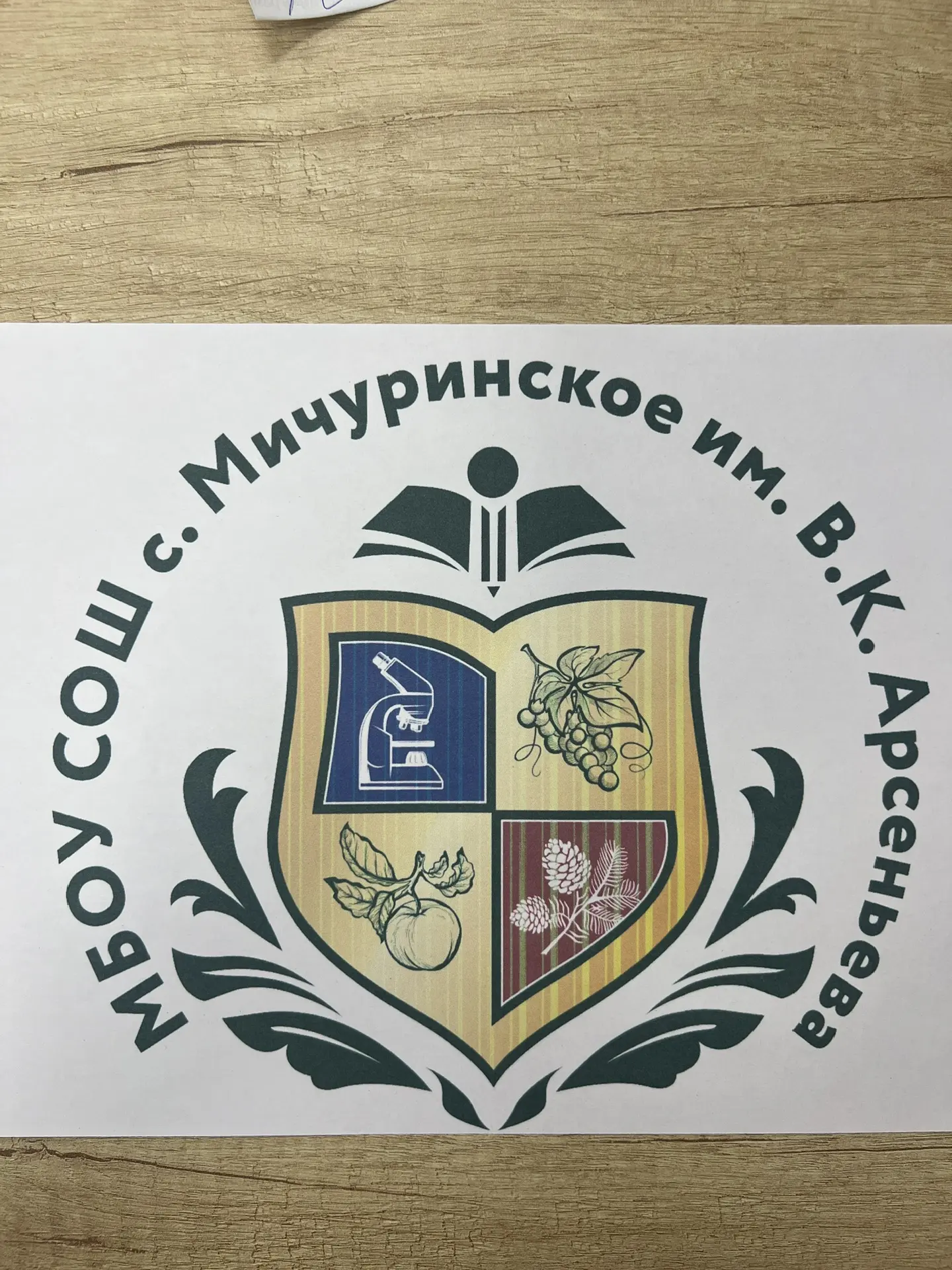Канал МБОУ СОШ с. Мичуринское им. В. К. Арсеньева