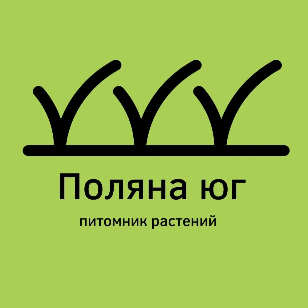 Поляна-Юг 🌺 гортензии — канал в мессенджере MAX