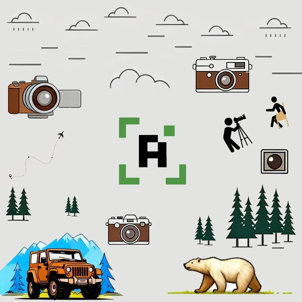 Август в кадре