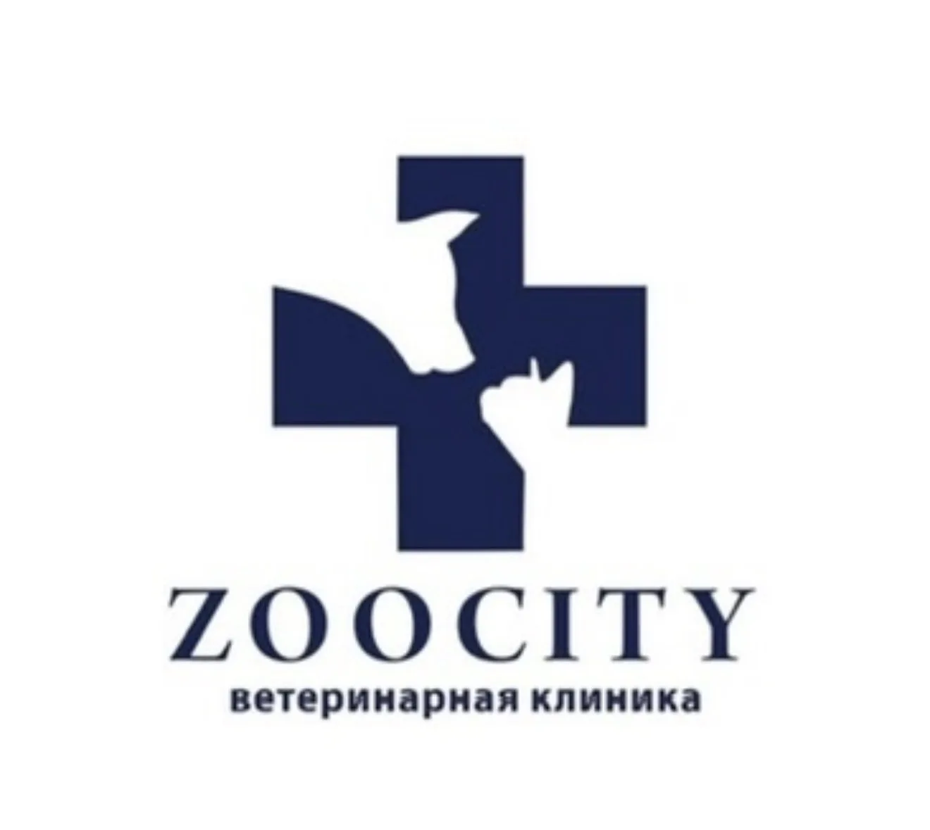 Ветеринарная клиника ЗооСити, Казань