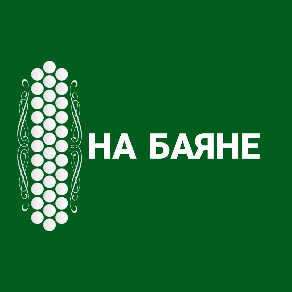 НА БАЯНЕ — канал в мессенджере MAX