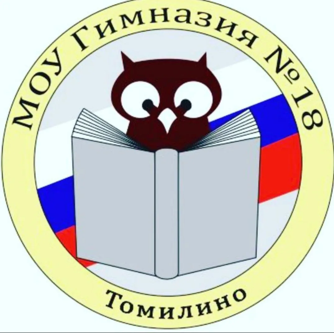 Гимназия №18 г.о.Люберцы Московской области — канал в мессенджере MAX