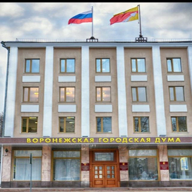 Воронежская городская Дума — канал в мессенджере MAX