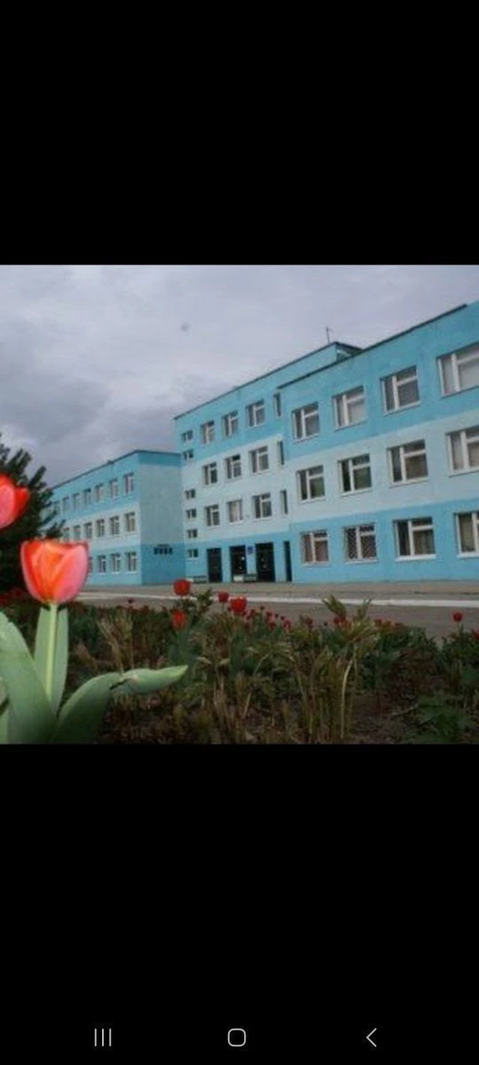 Муниципальное автономное общеобразовательное учреждение «Средняя общеобразовательная школа р.п. Соколовый муниципального образования «Город Саратов»