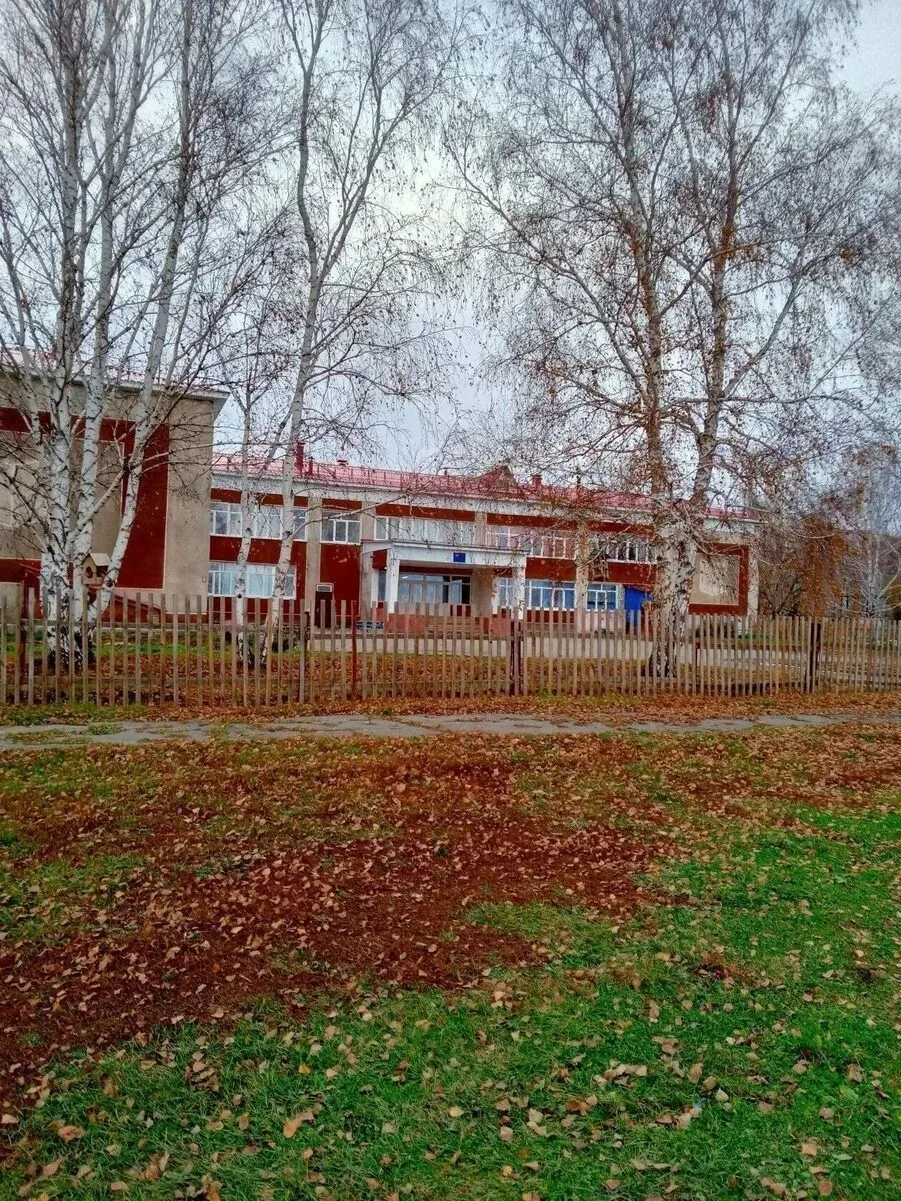 МБОУ ПОРОШИНСКАЯ СОШ