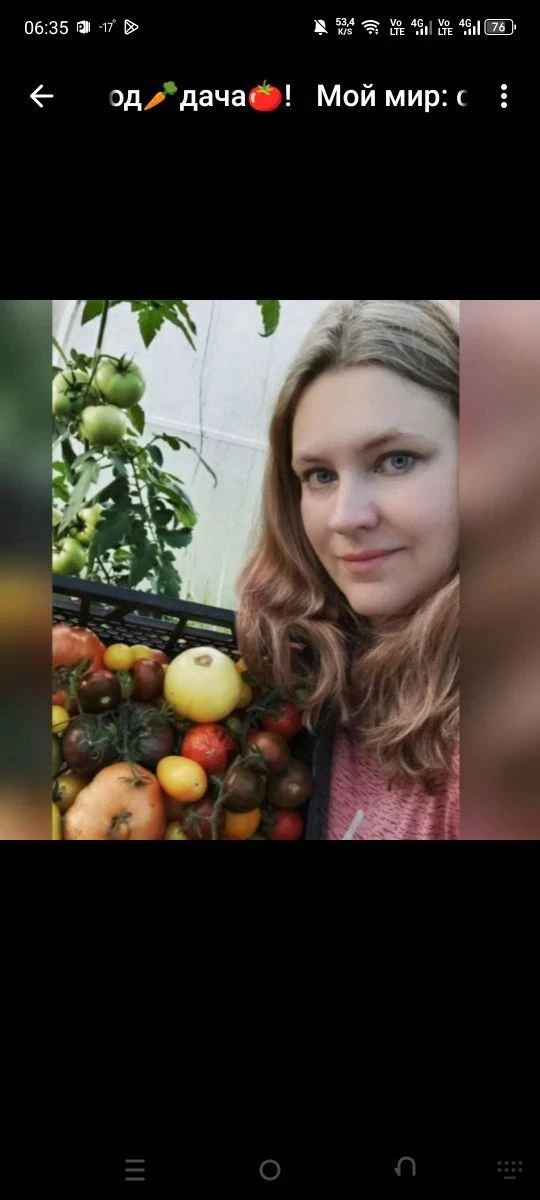 Мой мир: семья 🤗огород🥕дача🍅!