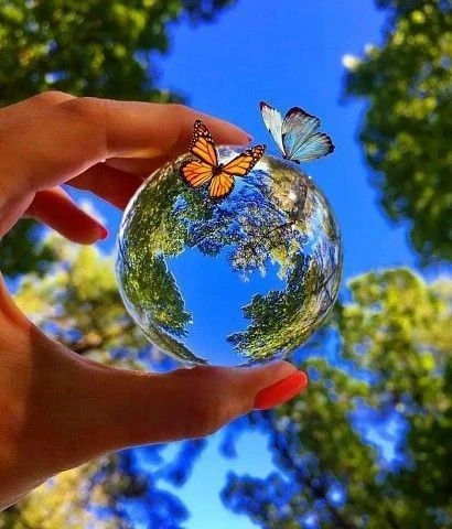 МКУ "Благоустройство и ДО" Панфиловское сп