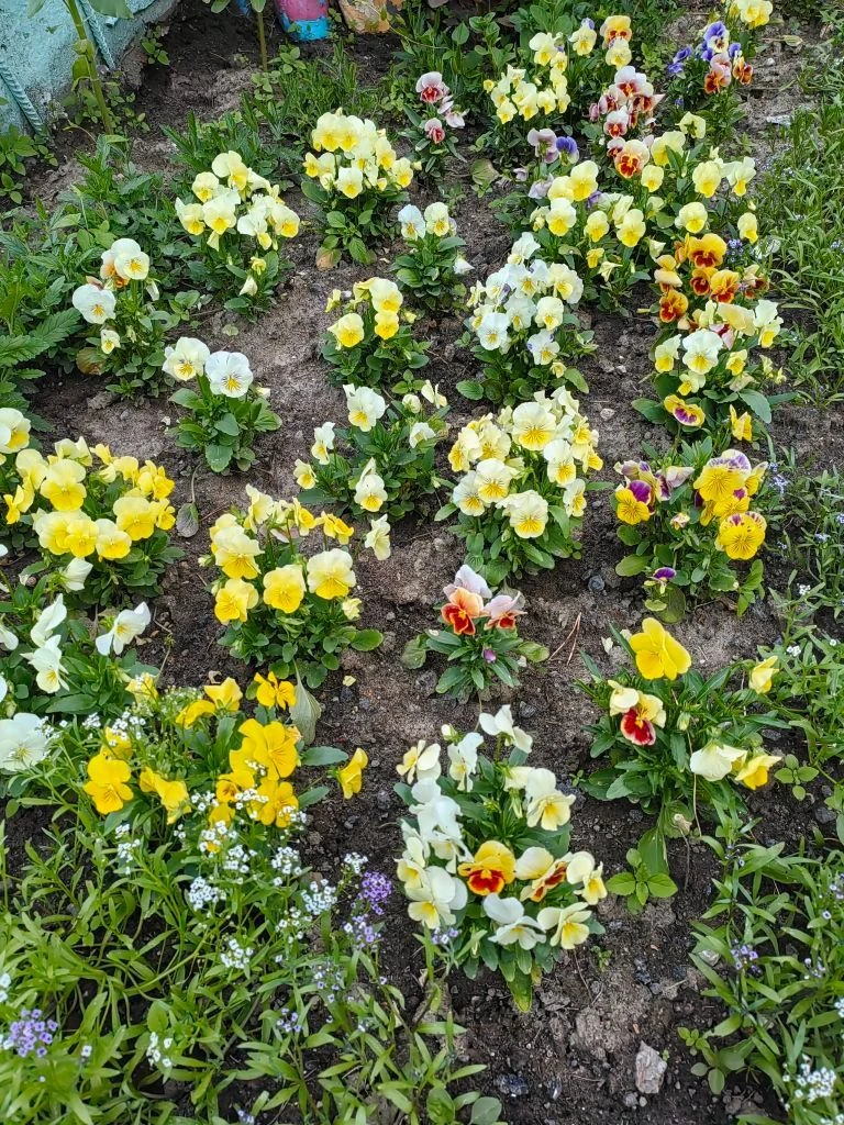 МКОУ "НШ-ДС" д. Козлова