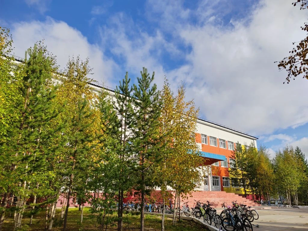 МБОУ "Школа имени Ярослава Василенко" г. Губкинский