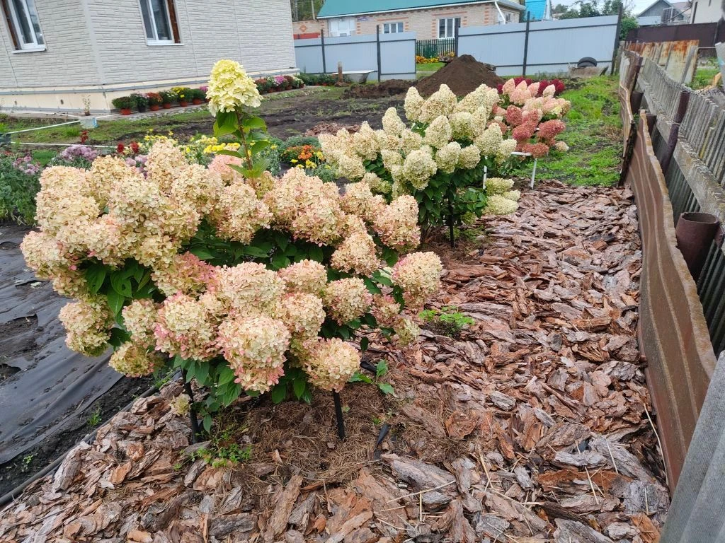 Ирина и Наталья flower's — канал в мессенджере MAX