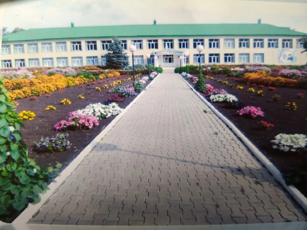 МБОУ СОШ с. Новобалтачево МР Чекмагушевский район РБ