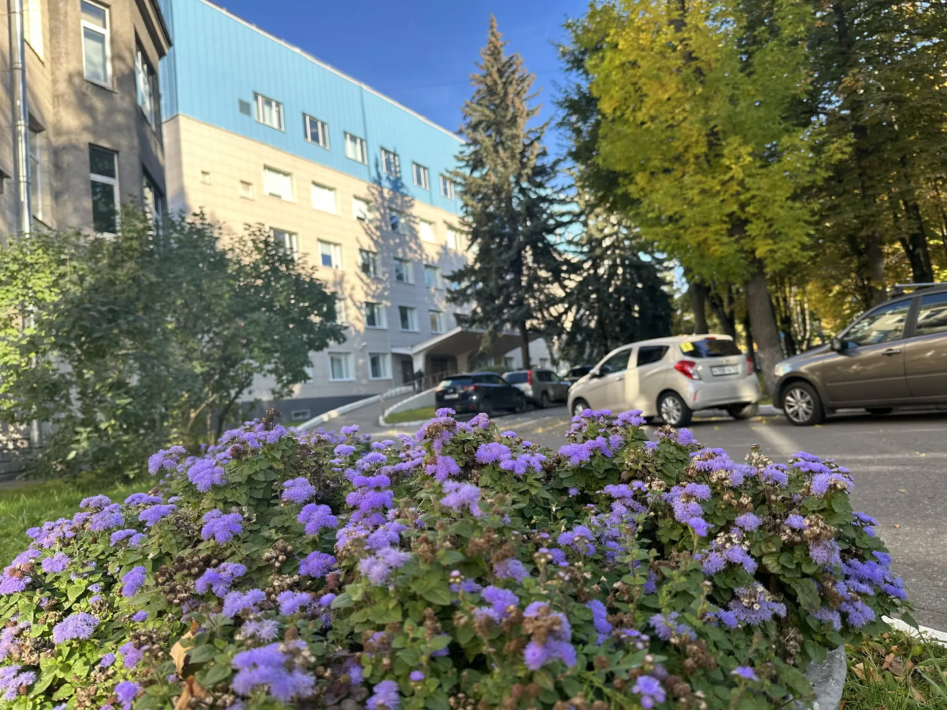 Больница Святителя Луки