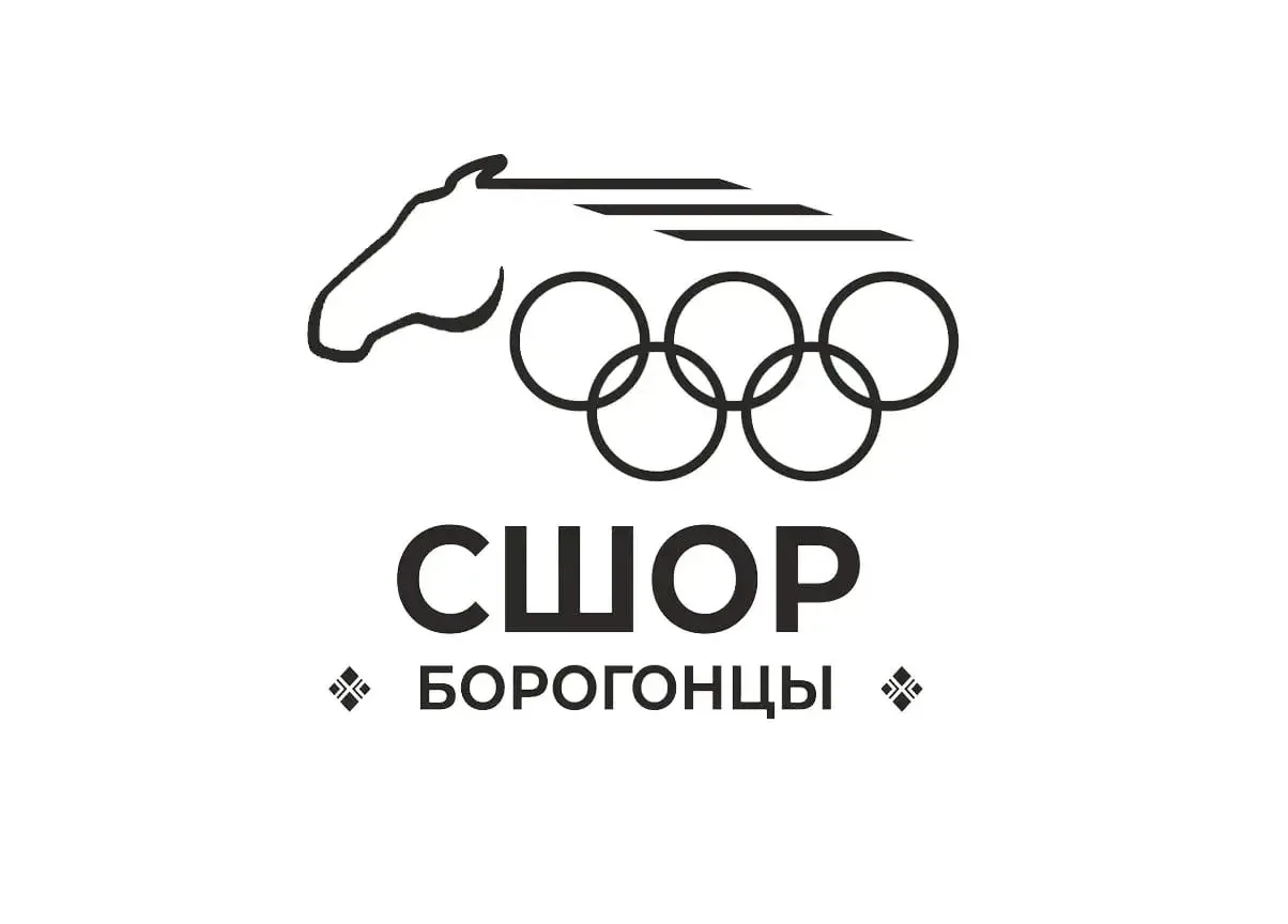 СШОР Борогонцы — канал в мессенджере MAX