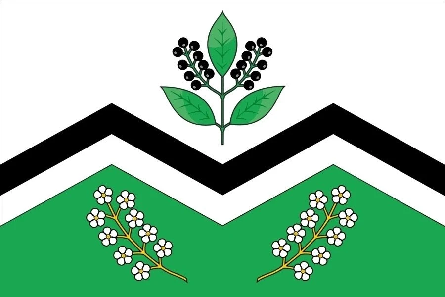 Администрация р. п. Мошково