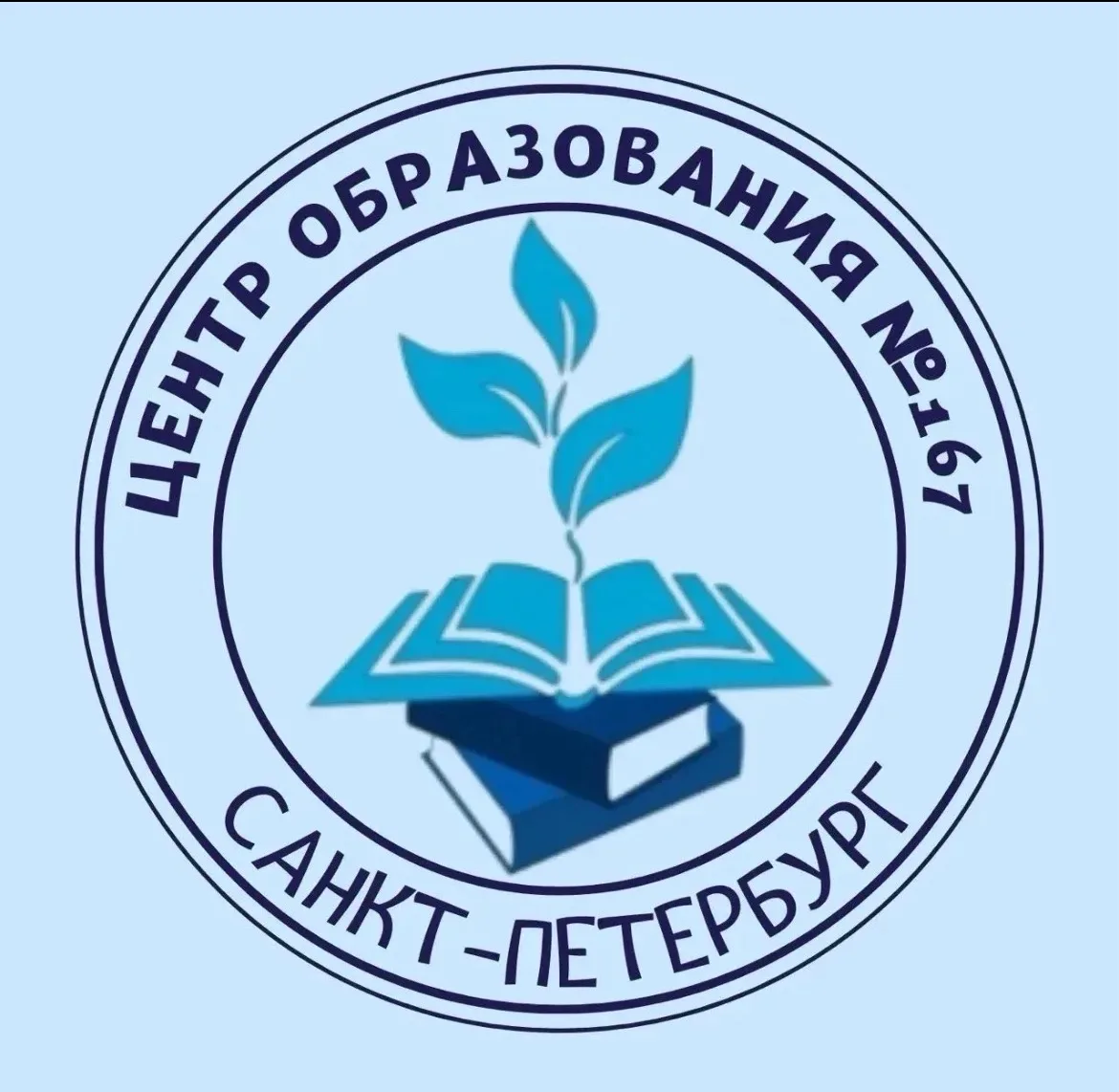 ГБОУ ЦО № 167 Санкт-Петербурга