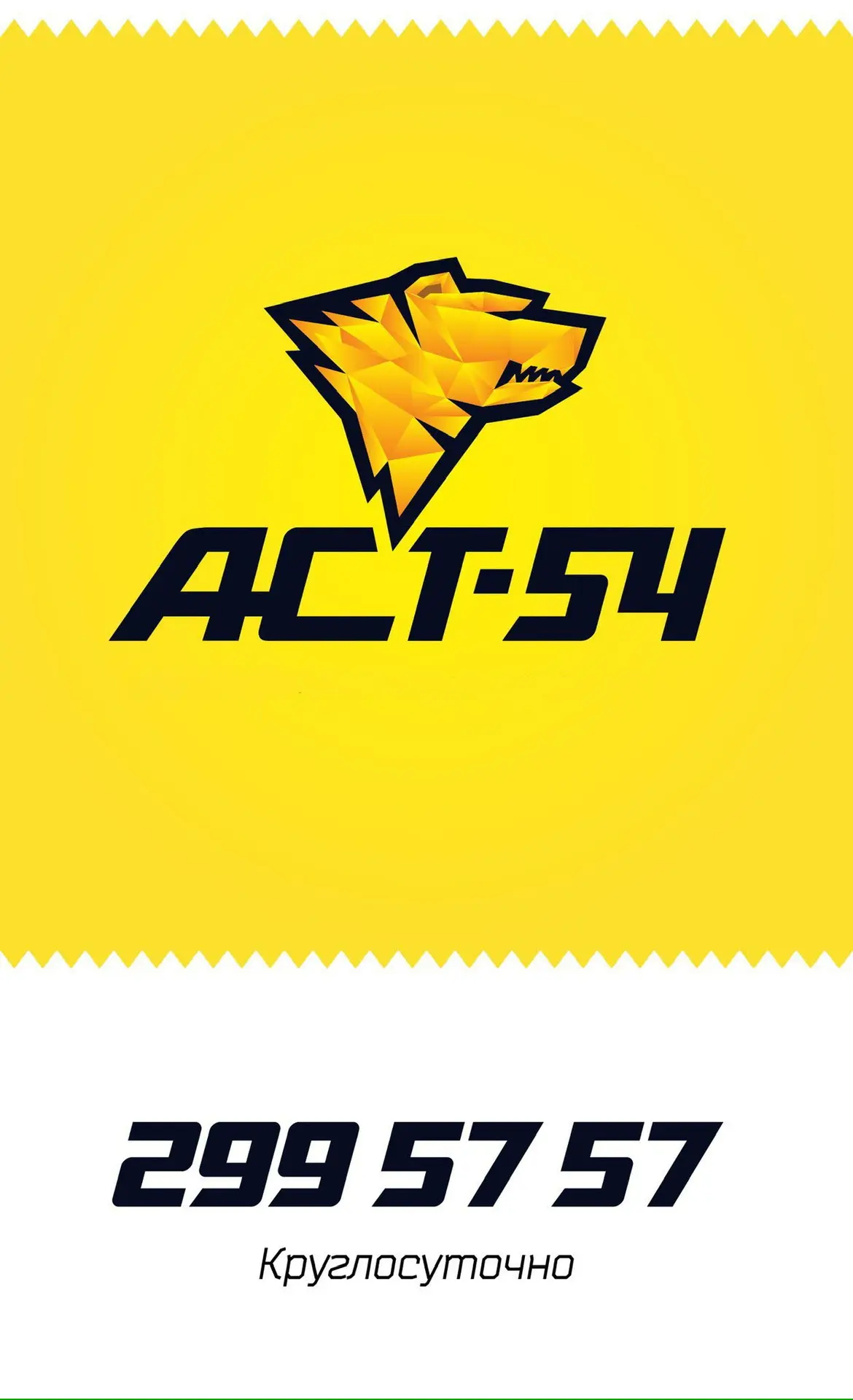 АСТ-54 — главное в Новосибирске