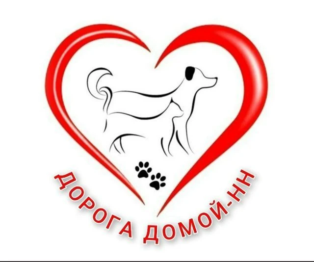 ДОРОГА ДОМОЙ - Нижний Новгород( Поиск животных ) — канал в мессенджере MAX