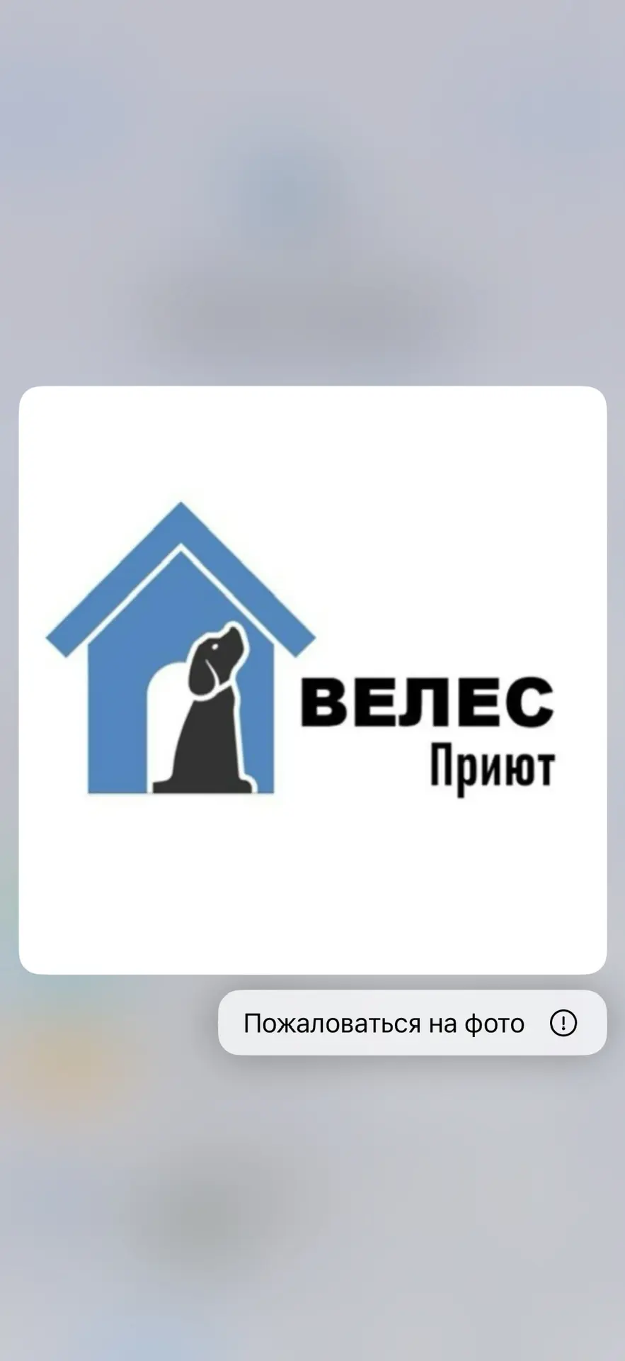 АНО «Приют Велес» — канал в мессенджере MAX
