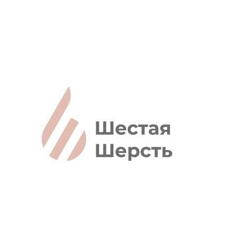 Магазин пряжи Шестая Шерсть — канал в мессенджере MAX