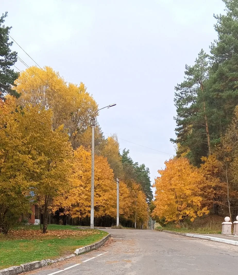 МБДОУ Жудерский детский сад Лесовичок