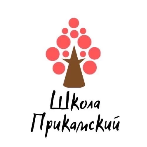 МБОУ СОШ п. Прикамский. Официальный канал