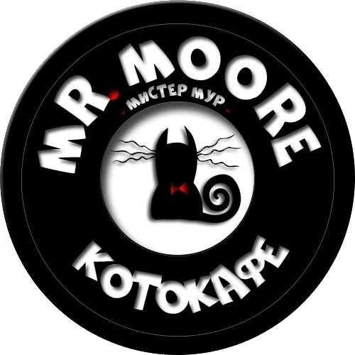 Котокафе |Mr. Moore| Антикафе Воронеж