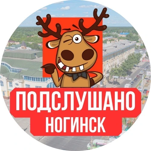 Ногинск новости — канал в мессенджере MAX