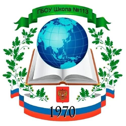 ГБОУ Школа 113