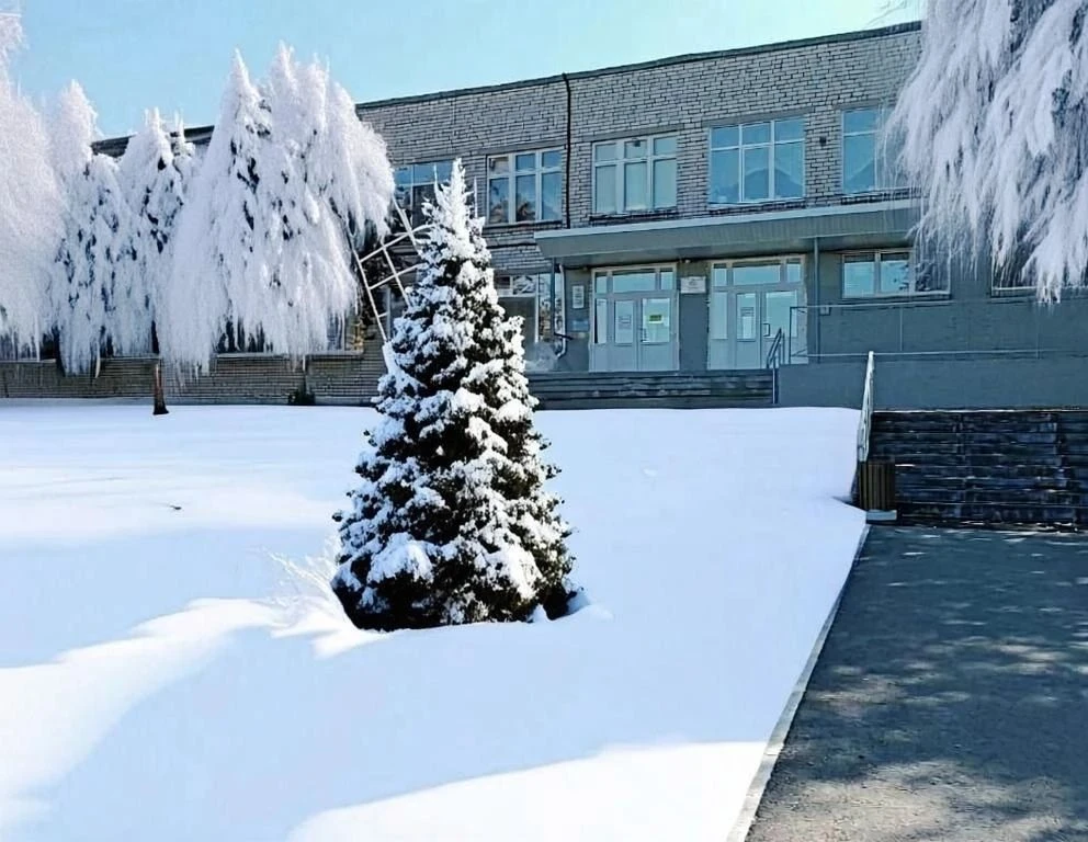 МАОУ СОШ №8 мо Верхний Тагил