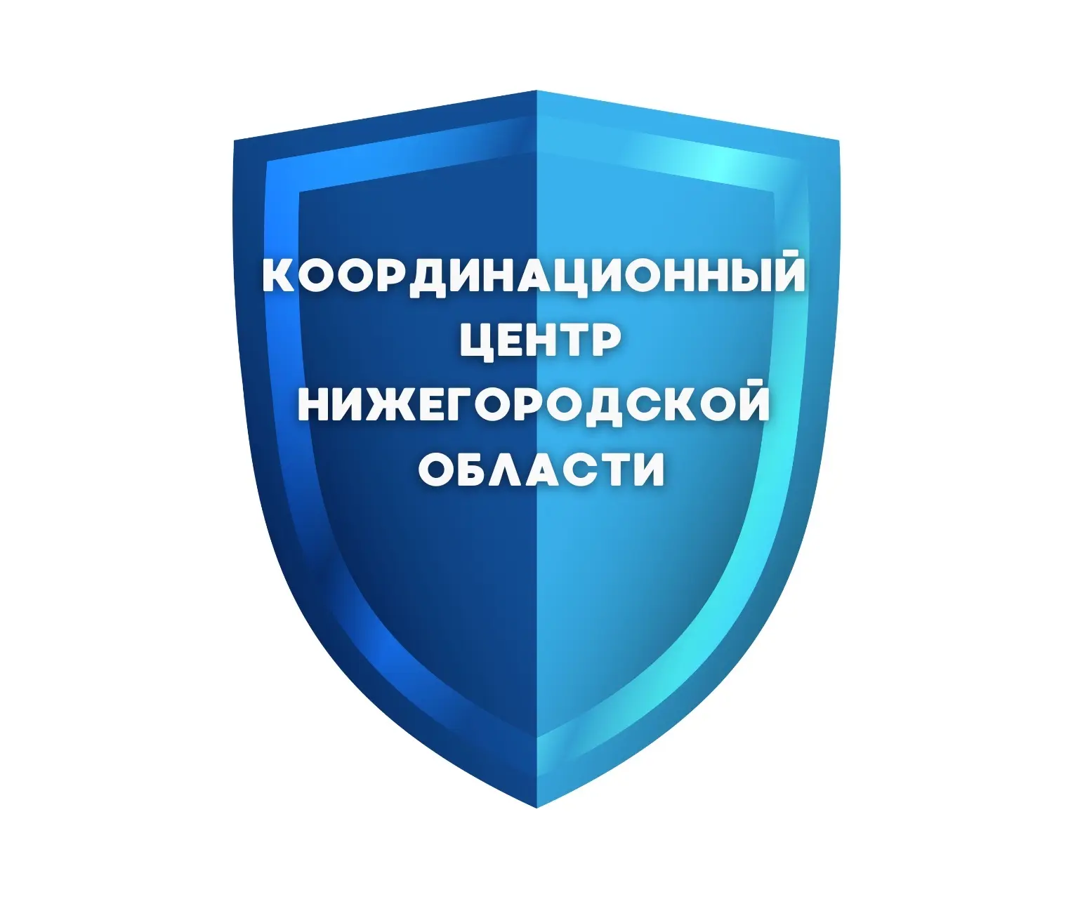 Координационный центр НО