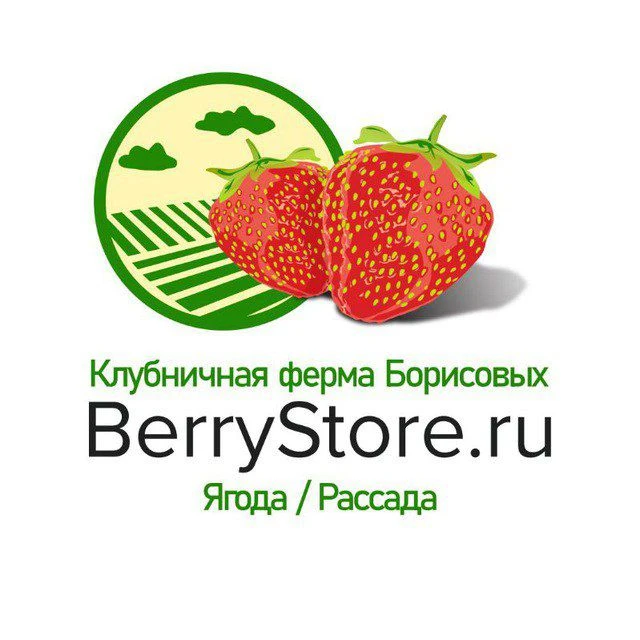 Клубничная ферма Борисовых