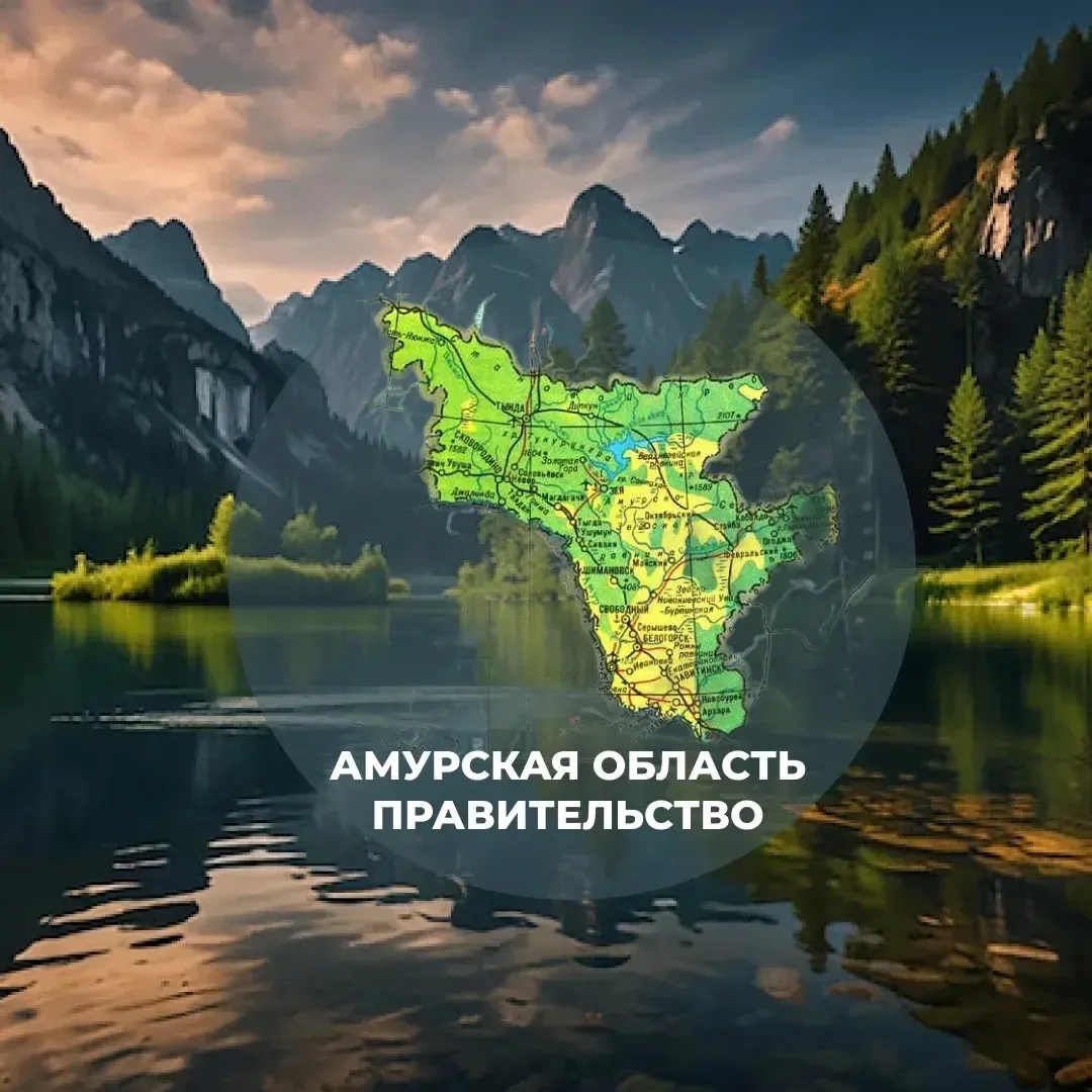 Амурская область | Правительство