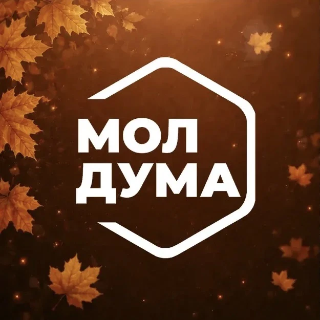 Молодёжная Дума | Ульяновск — канал в мессенджере MAX