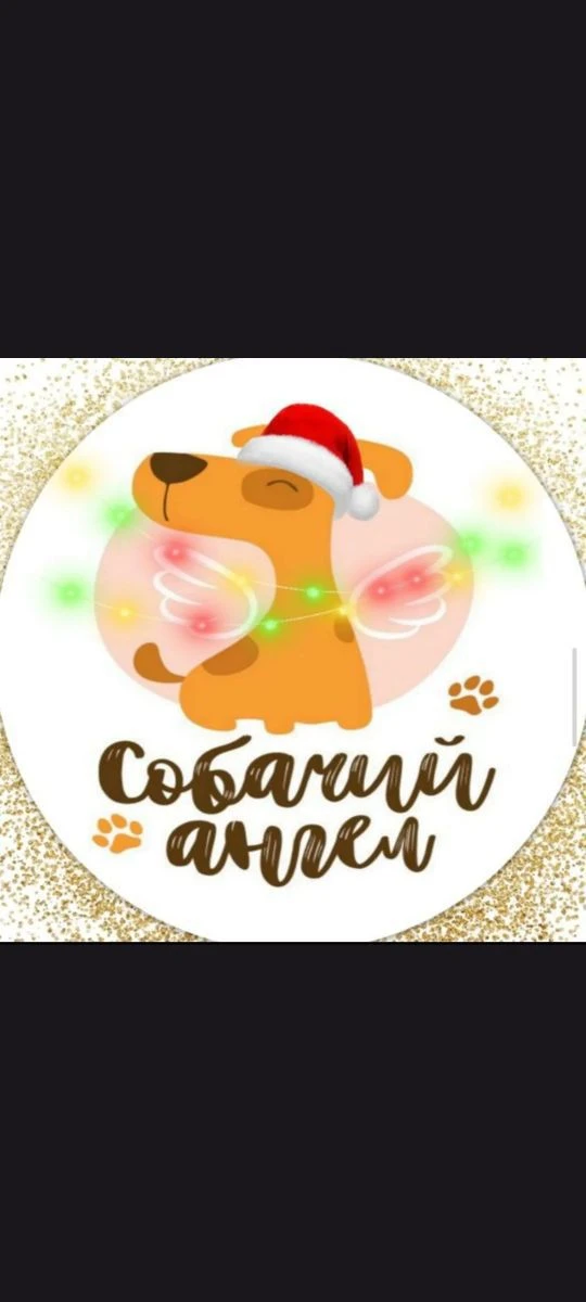 Логотип канала