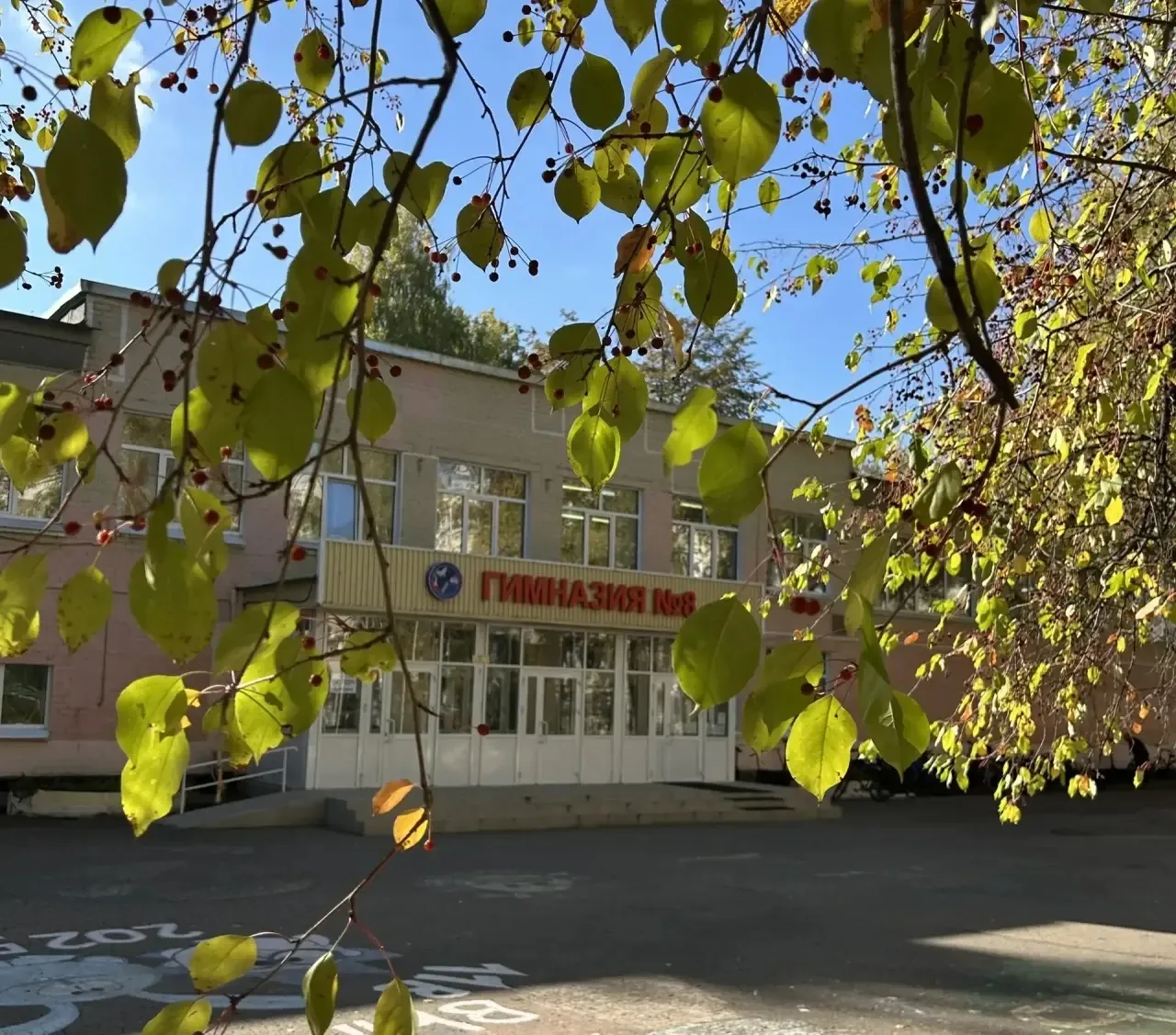 Гимназия №8-Центр образования, Казань