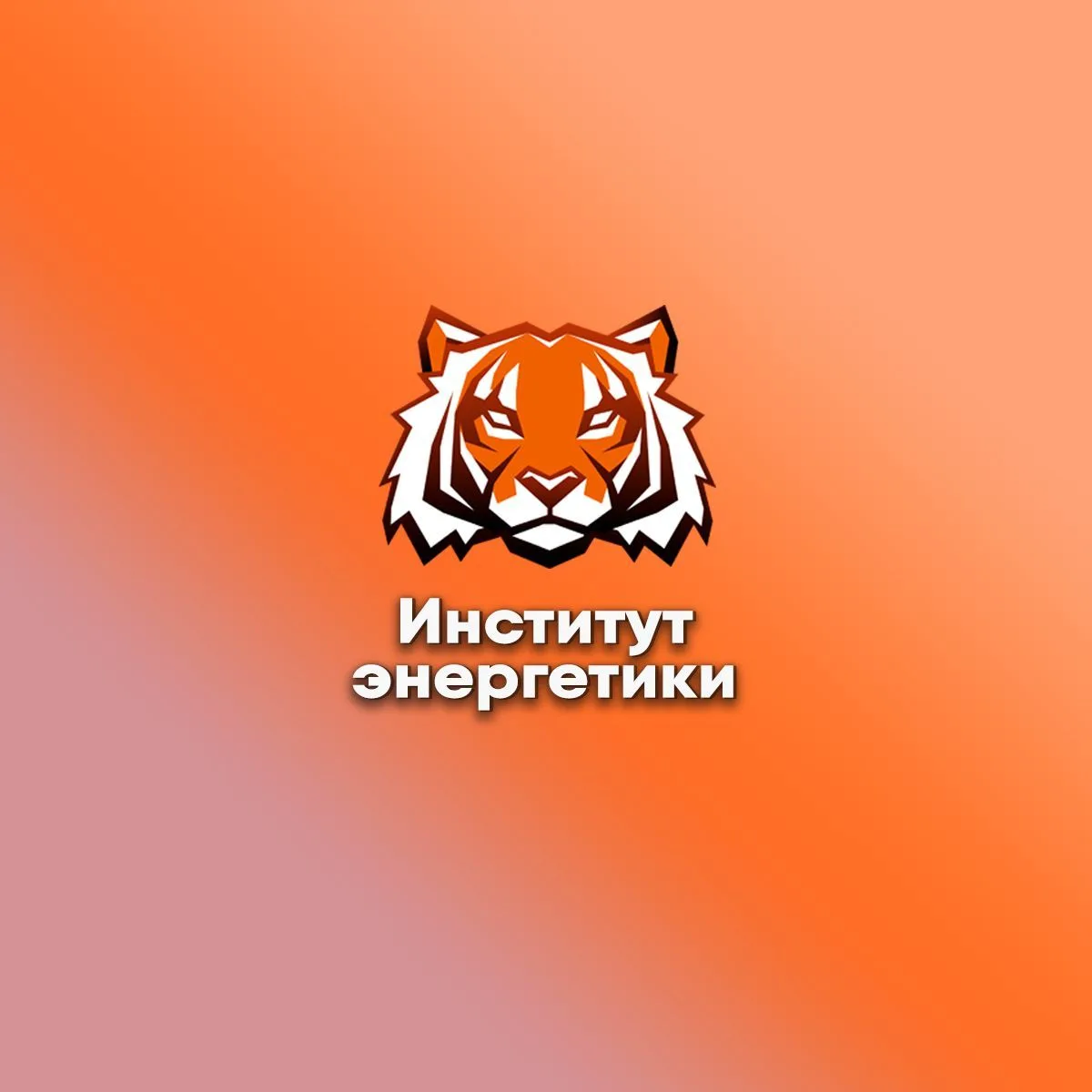 Институт энергетики