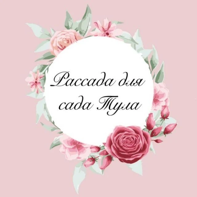 Рассада для сада Тула