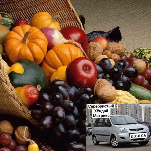 ДАРЫ🍓ЗЕМЛИ🍒ДОСТАВКА 🍉🍇🍊🍅🥑🥝🌰🐟🐠🐙🦐🦑 — канал в мессенджере MAX